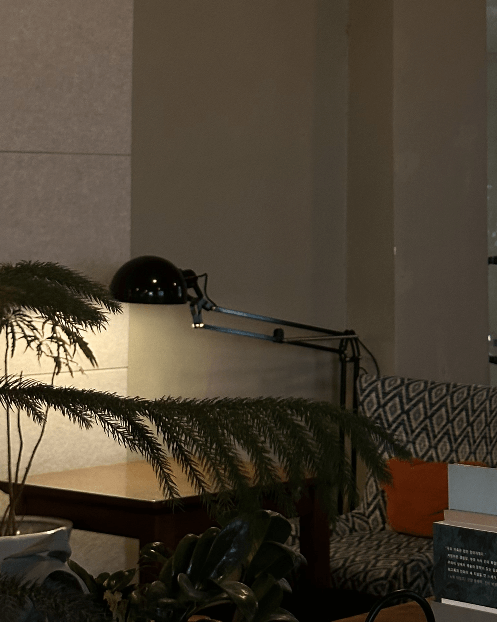 잔디속에있다고상상을해 카페 사진 | 나무, 조명, 창문 분위기까지 해석한 장소 | 촬영 - 에브리데이웍스클럽