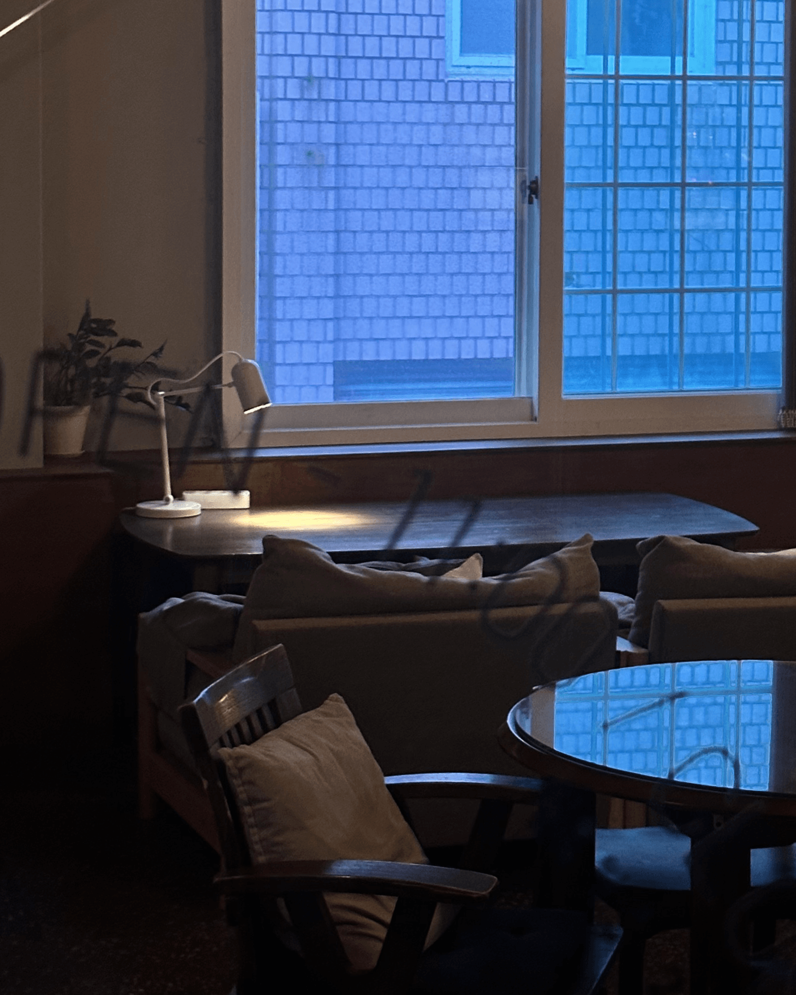 잔디속에있다고상상을해 카페 사진 | 나무, 조명, 창문 분위기까지 해석한 장소 | 촬영 - 에브리데이웍스클럽