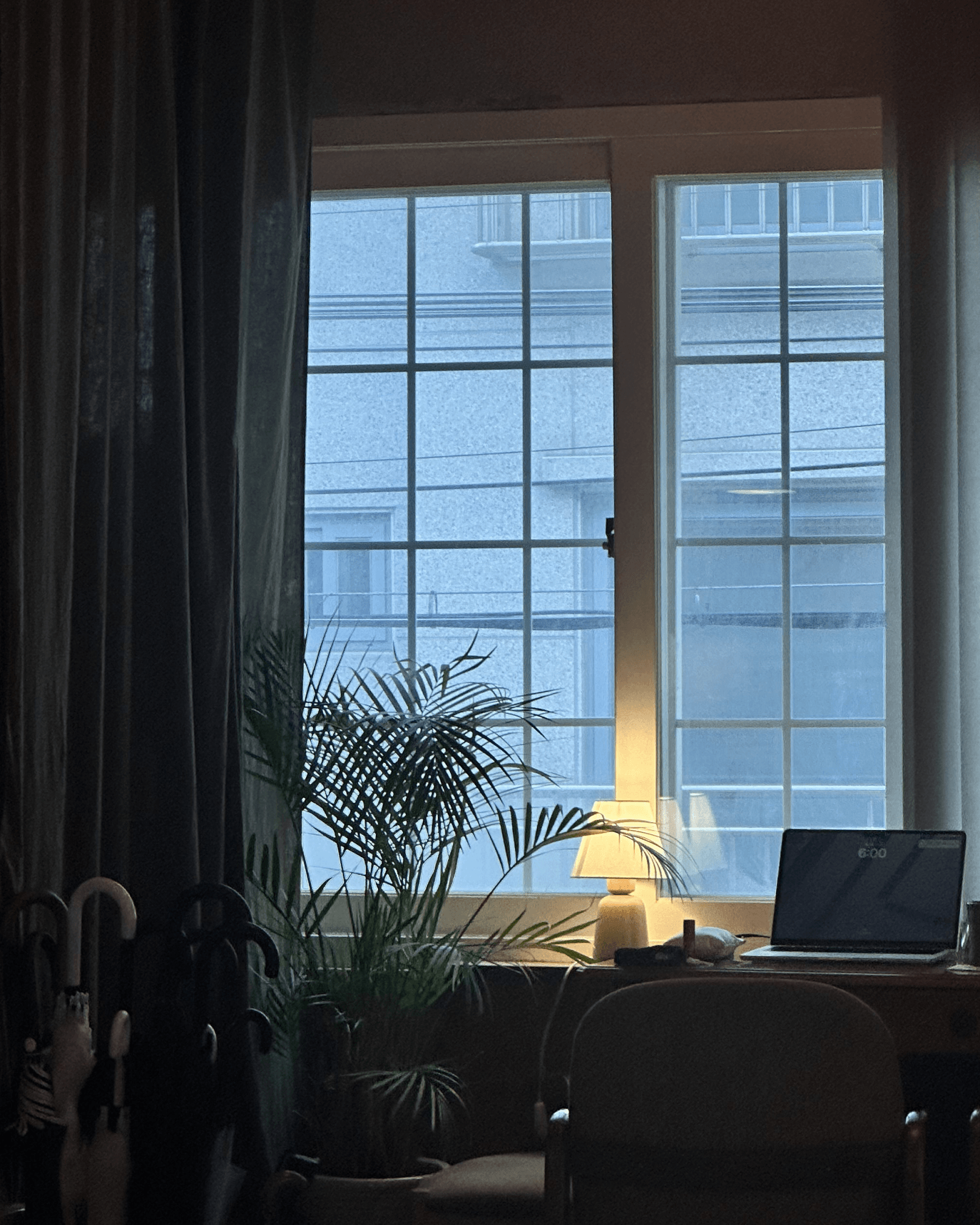 잔디속에있다고상상을해 카페 사진 | 나무, 조명, 창문 분위기까지 해석한 장소 | 촬영 - 에브리데이웍스클럽