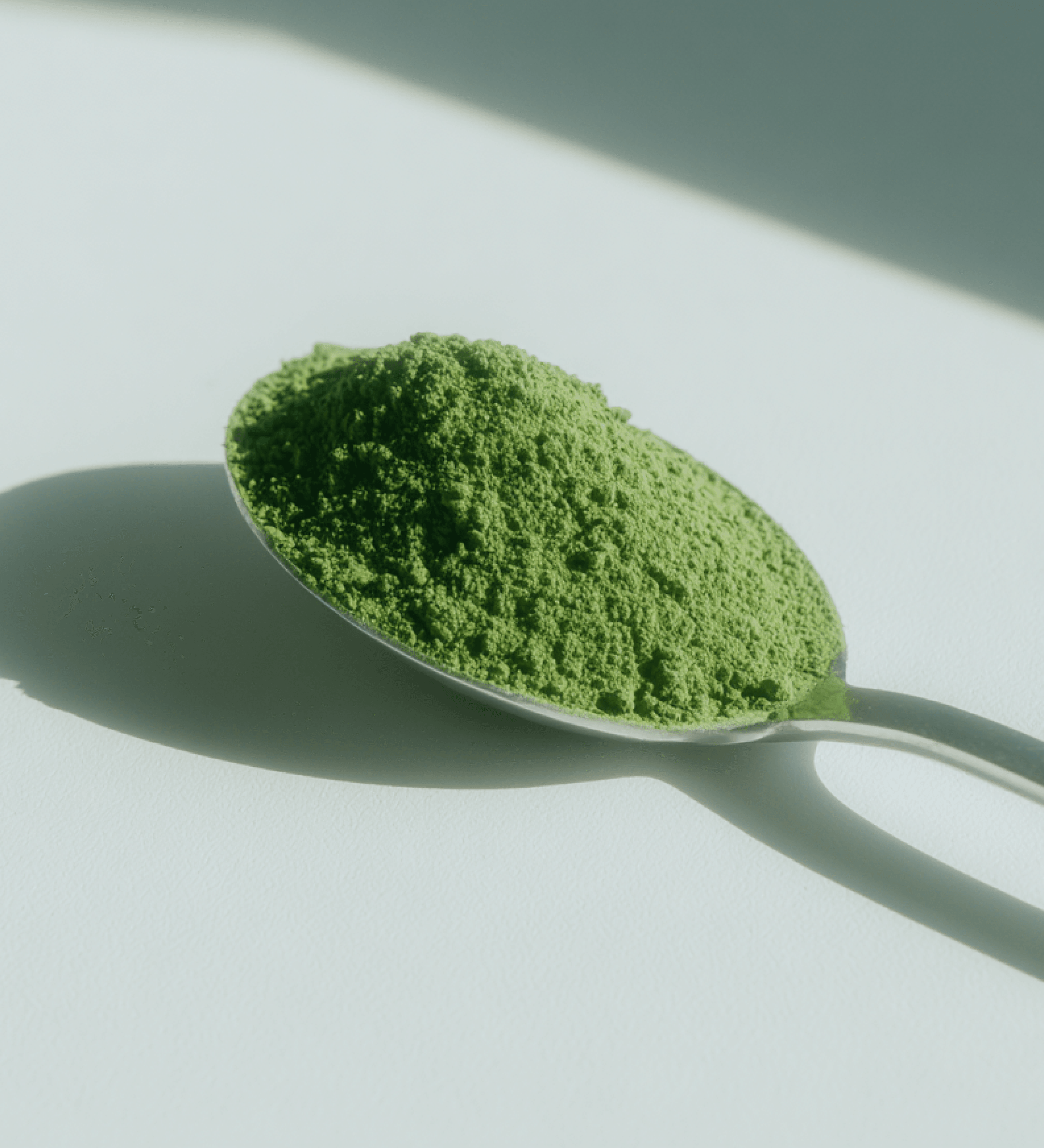 말차가루 | 생성형 이미지 | 에브리데이웍스클럽