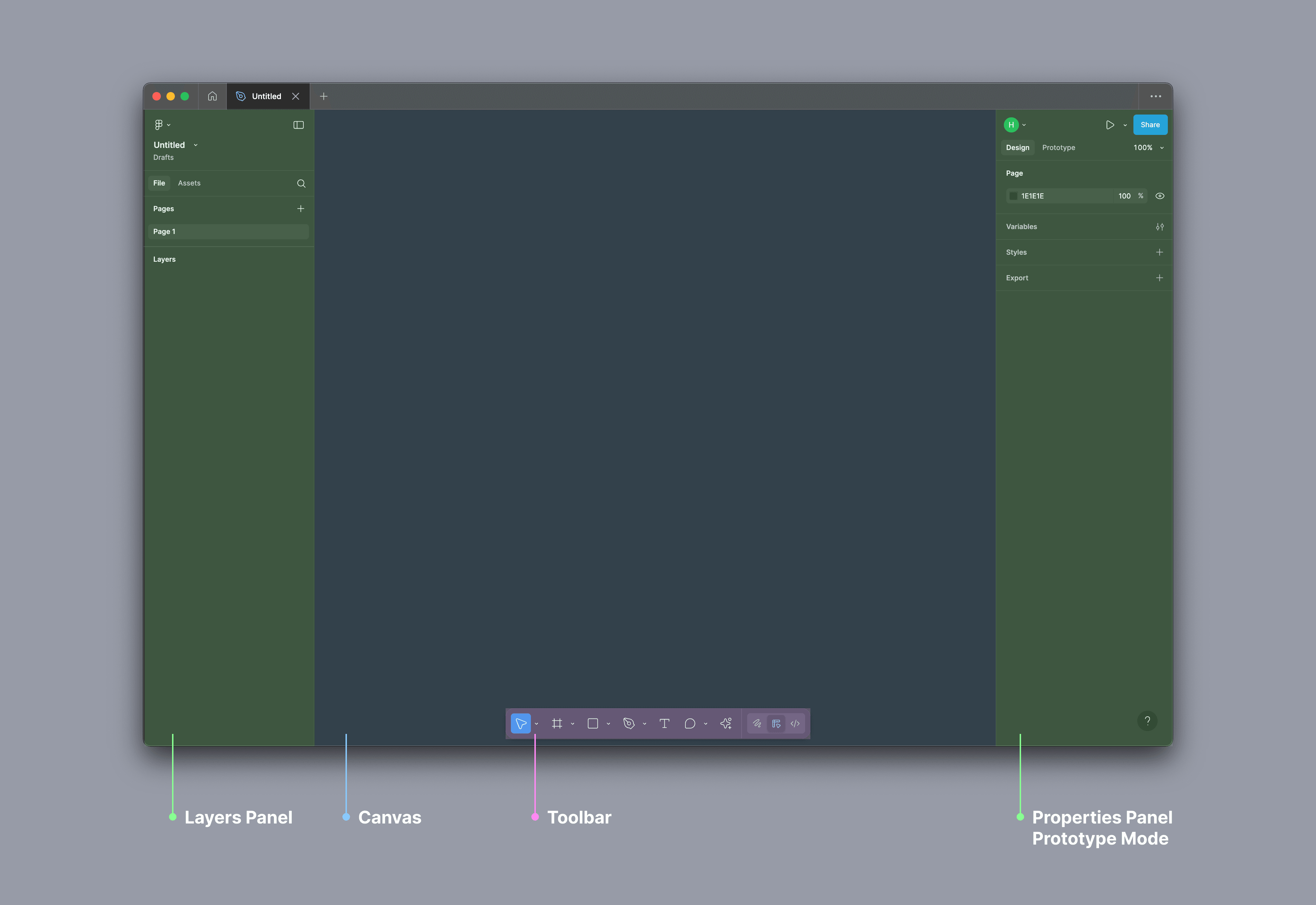 출처: 피그마 | 에브리데이웍스클럽 