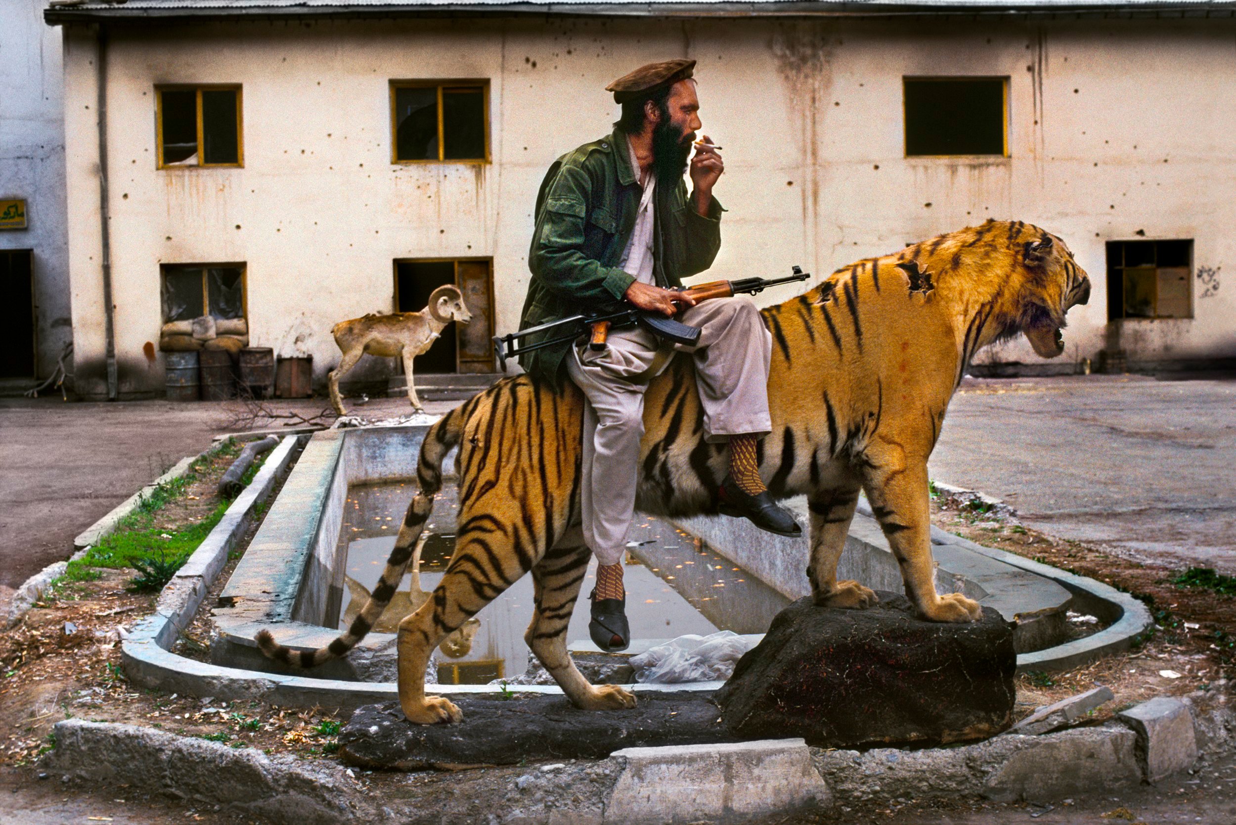 https://www.stevemccurry.com | 스티브 맥커리 작품